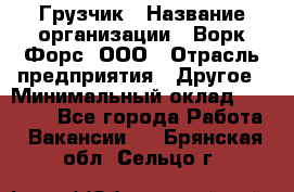 Грузчик › Название организации ­ Ворк Форс, ООО › Отрасль предприятия ­ Другое › Минимальный оклад ­ 24 000 - Все города Работа » Вакансии   . Брянская обл.,Сельцо г.